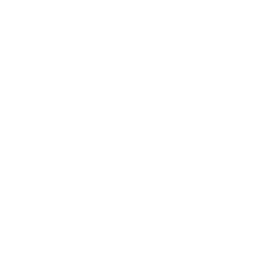 Sonido